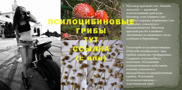ГАЛЛЮЦИНОГЕННЫЕ ГРИБЫ Россошь