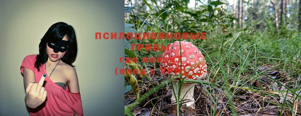 мяу мяу кристалл Баксан