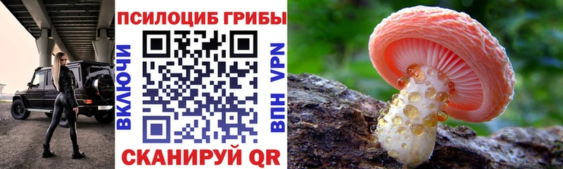 OMG маркетплейс  где можно купить наркотик  Вуктыл  Галлюциногенные грибы GOLDEN TEACHER 