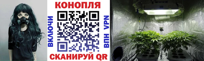как найти закладки  Вуктыл  МАРИХУАНА SATIVA & INDICA 